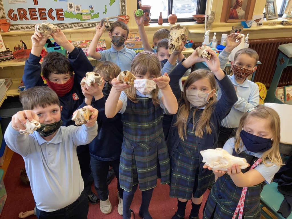 THE BIOLOGY OF PLANTS AND ANIMALS