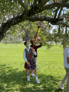 SMCMS Service Project