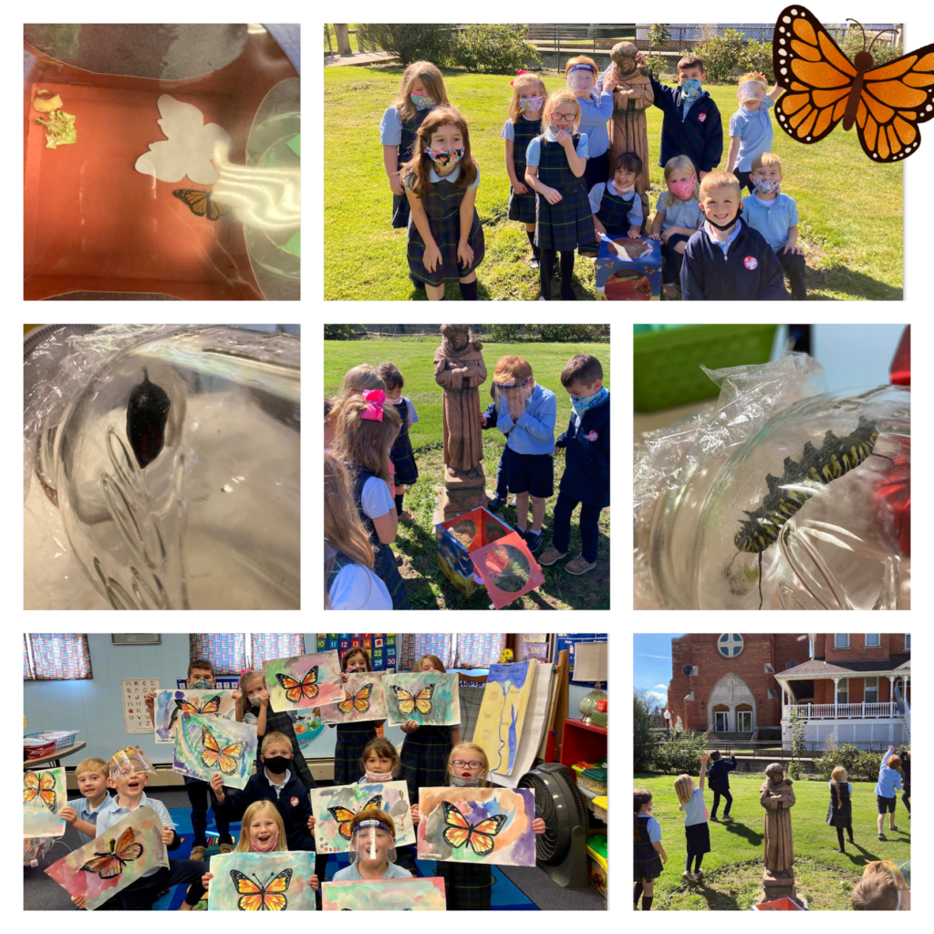 Nature Studies at SLS