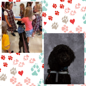 Willow Visits SMCES Students