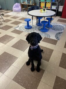 Happy Birthday Willow!