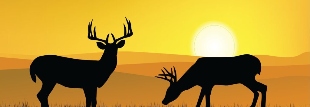 6th Annual Outdoor Bash