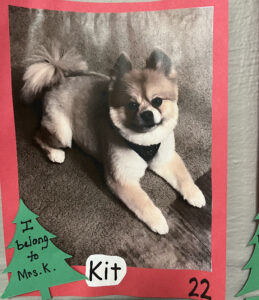Holiday Pet Contest