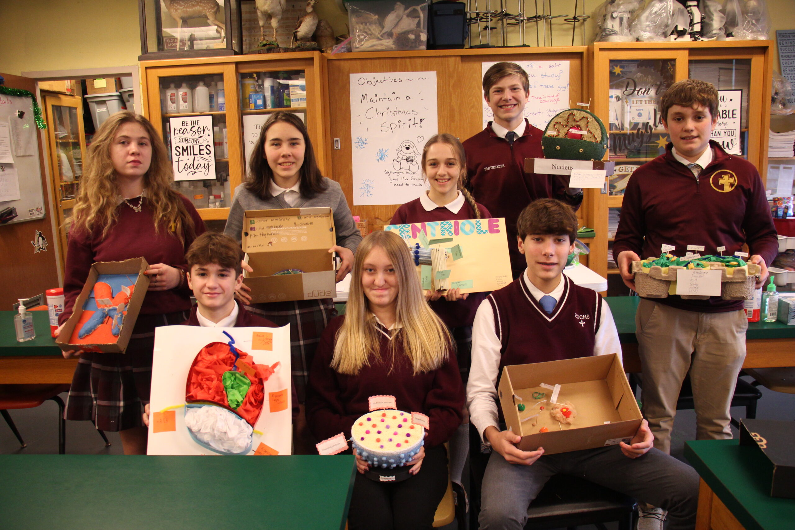 Freshmen Cell Organelles